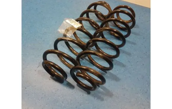 Volkswagen Golf IV Rear coil spring