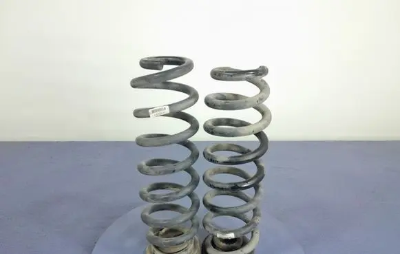 Opel Insignia A Rear coil spring AA6K