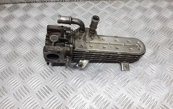 Skoda Octavia Mk1 (1U) EGR valve cooler 038131513AD