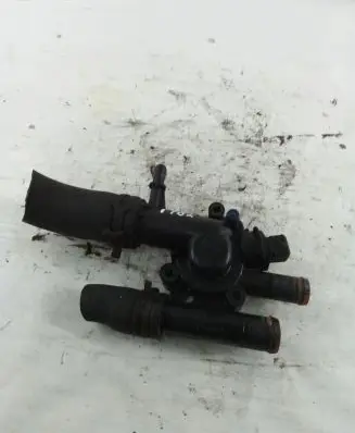 Thermostat/thermostat housing