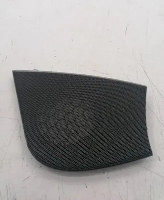 Side speaker trim/cover