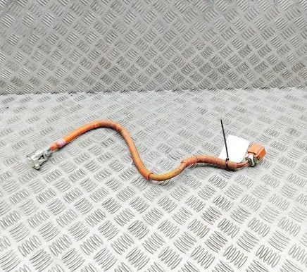 Lexus GS 250 350 300H 450H Other wiring loom 8221230160