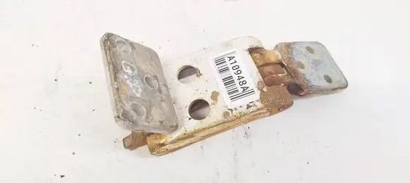 Rear door lower hinge