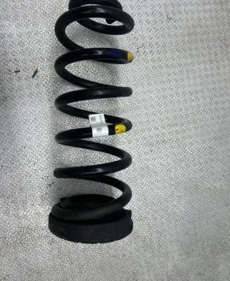 Rear coil spring