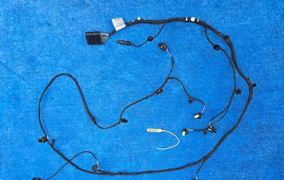 BMW X2 U10 Parking sensor (PDC) wiring loom 5A95114