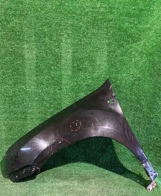 Dacia Duster Fender