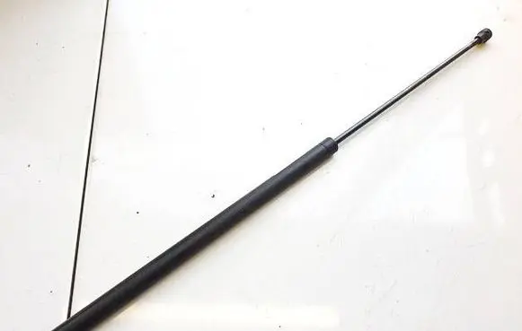 Tailgate/trunk strut/damper