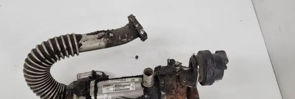 Renault Trafic II (X83) EGR valve cooler 8200611709