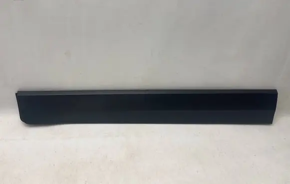 Ford Ecosport Front door trim (molding) CN15-20849-CAW