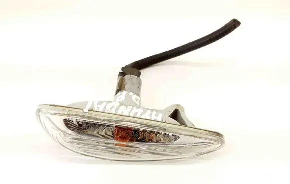 Front fender indicator light