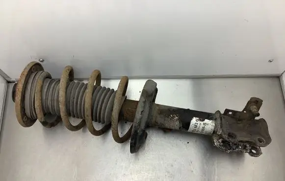 Opel Signum Front shock absorber with coil spring 312612 32N65A 824903014936