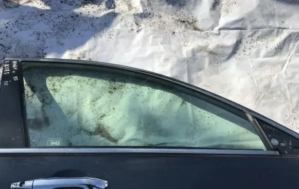 Honda Accord Front door window glass four-door