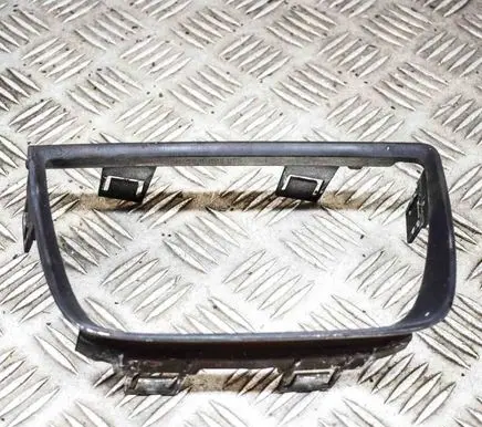 Rear/tail light trim molding