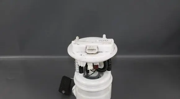 Dacia Sandero In-tank fuel pump 172021904R