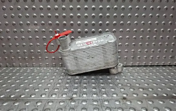 Renault Kangoo III EGR valve cooler S25071752 921641313R
