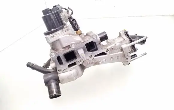 EGR valve
