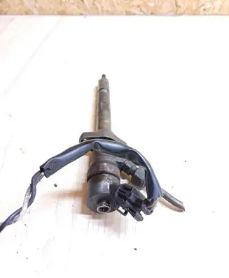 Peugeot 607 Fuel injector 0445110036