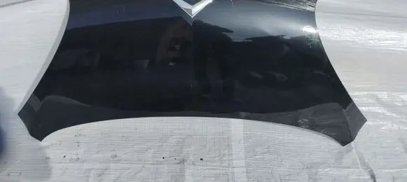 Engine bonnet/hood