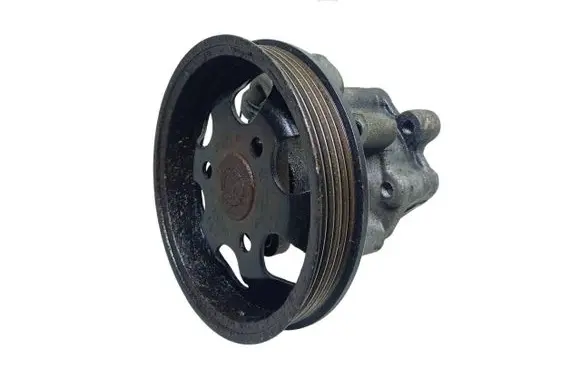 Volkswagen Golf IV Power steering pump pulley 058145255E-kasacja 058145255E