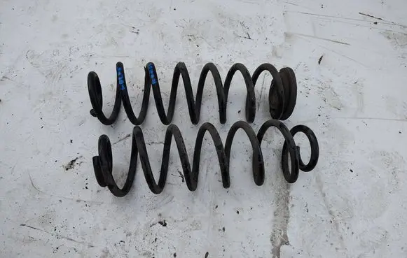 Rear coil spring