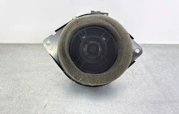 Panel speaker