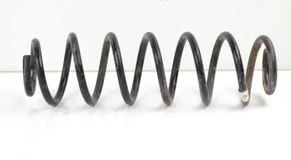 Rear coil spring