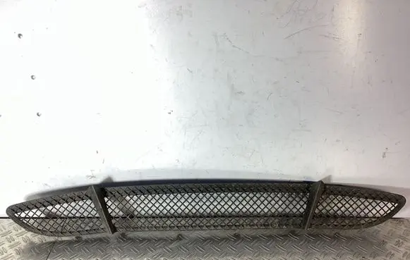 BMW 1 E81 E87 Front bumper lower grill 51117118161