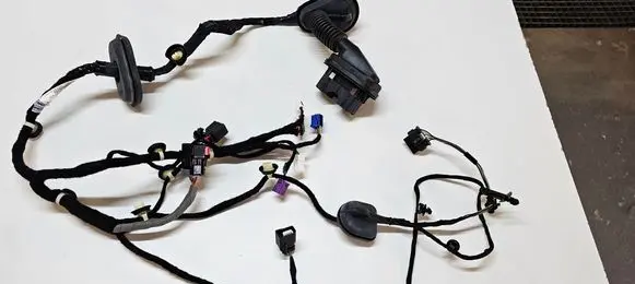 Front door wiring loom