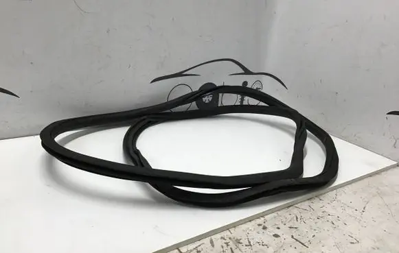 Rear door rubber seal (on body)