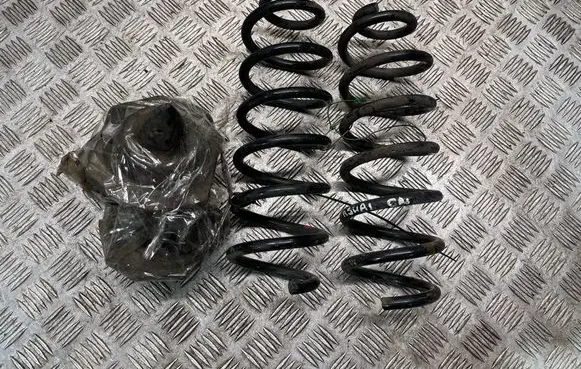 Nissan Qashqai Rear coil spring