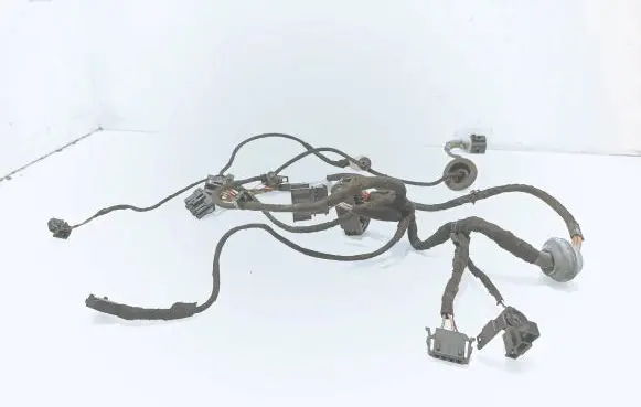 Volkswagen PASSAT B5 Front door wiring loom 3B0971120S TAB003707