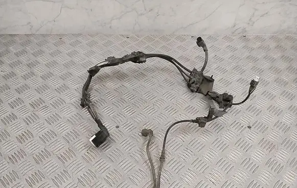 Mercedes-Benz EQE x294 Other wiring loom A2945400103