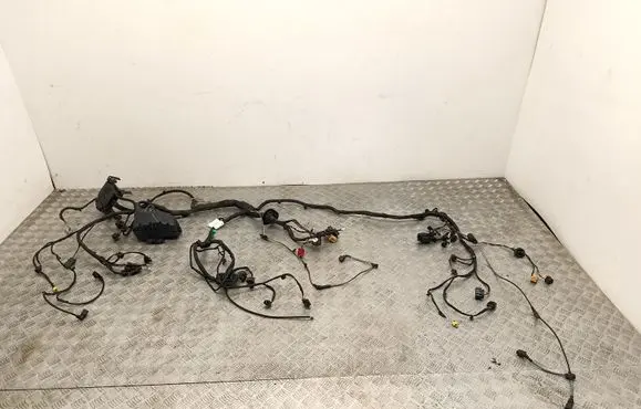 Skoda Enyaq iV Wiring harness 5LA970714
