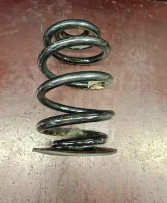Rear coil spring