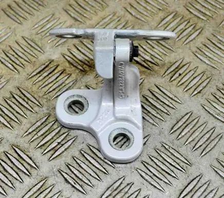 Rear door lower hinge