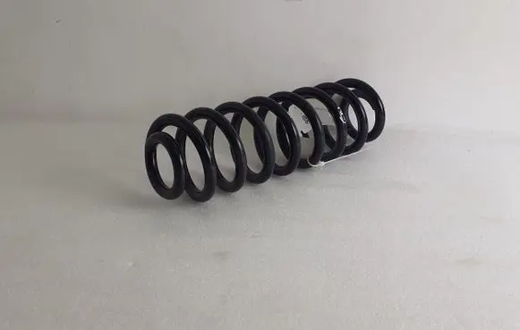 Dacia Spring Rear coil spring 550200356R