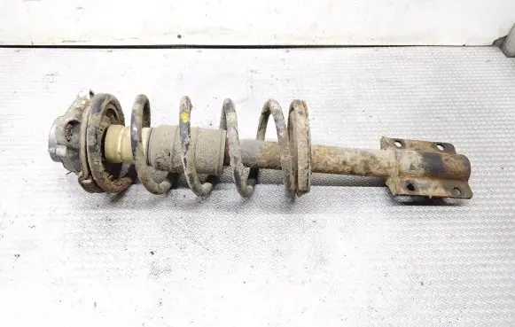 Fiat Ducato Front shock absorber with coil spring