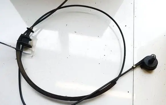 Renault Scenic I Other body part