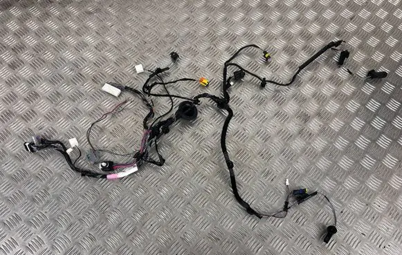 Tesla Model X Rear door wiring loom 103244290G
