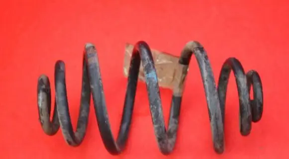 Volkswagen PASSAT B5.5 Rear coil spring