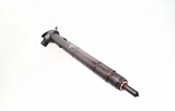 Chevrolet Captiva Fuel injector 28264951 25183186