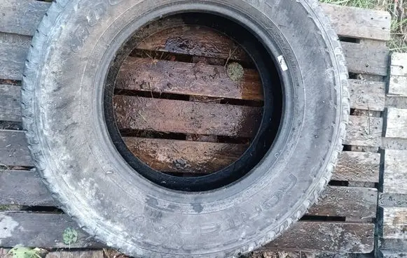 Dodge RAM 1500 DS R17 summer tire P24570R17103T
