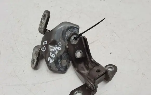 KIA Sportage Rear door hinge set 