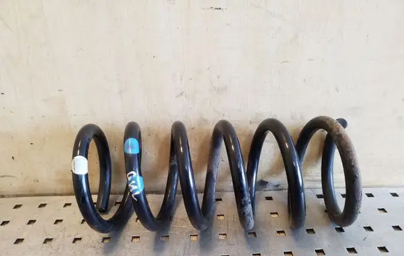 Opel Antara Rear coil spring