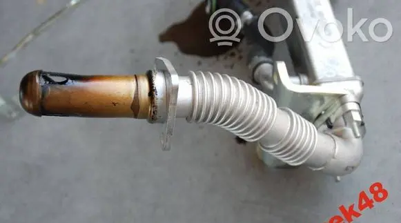 Fiat Ducato EGR valve line/pipe/hose
