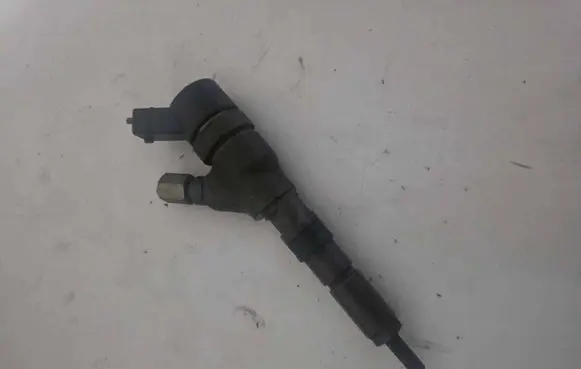 Citroen Berlingo Fuel injector 0445110076