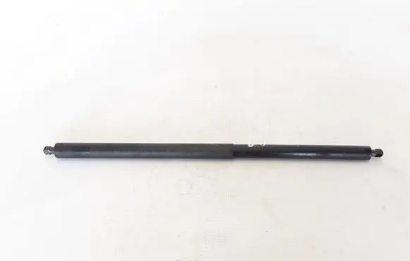 Tailgate strut