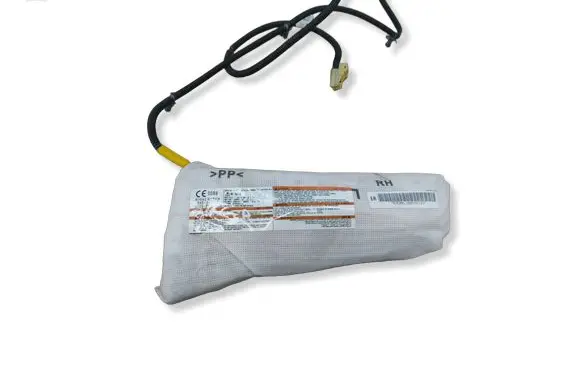 Nissan Leaf I (ZE0) Seat airbag SAB31007 0589P1000413