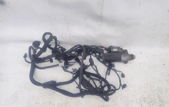 Mercedes-Benz Vito Viano W639 Starter motor