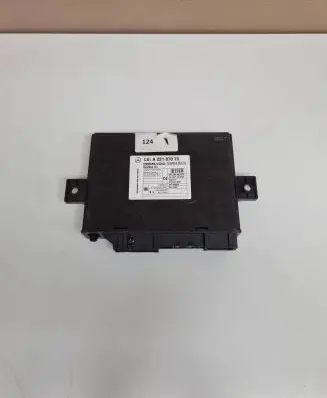 Keyless (KESSY) go control unit/module